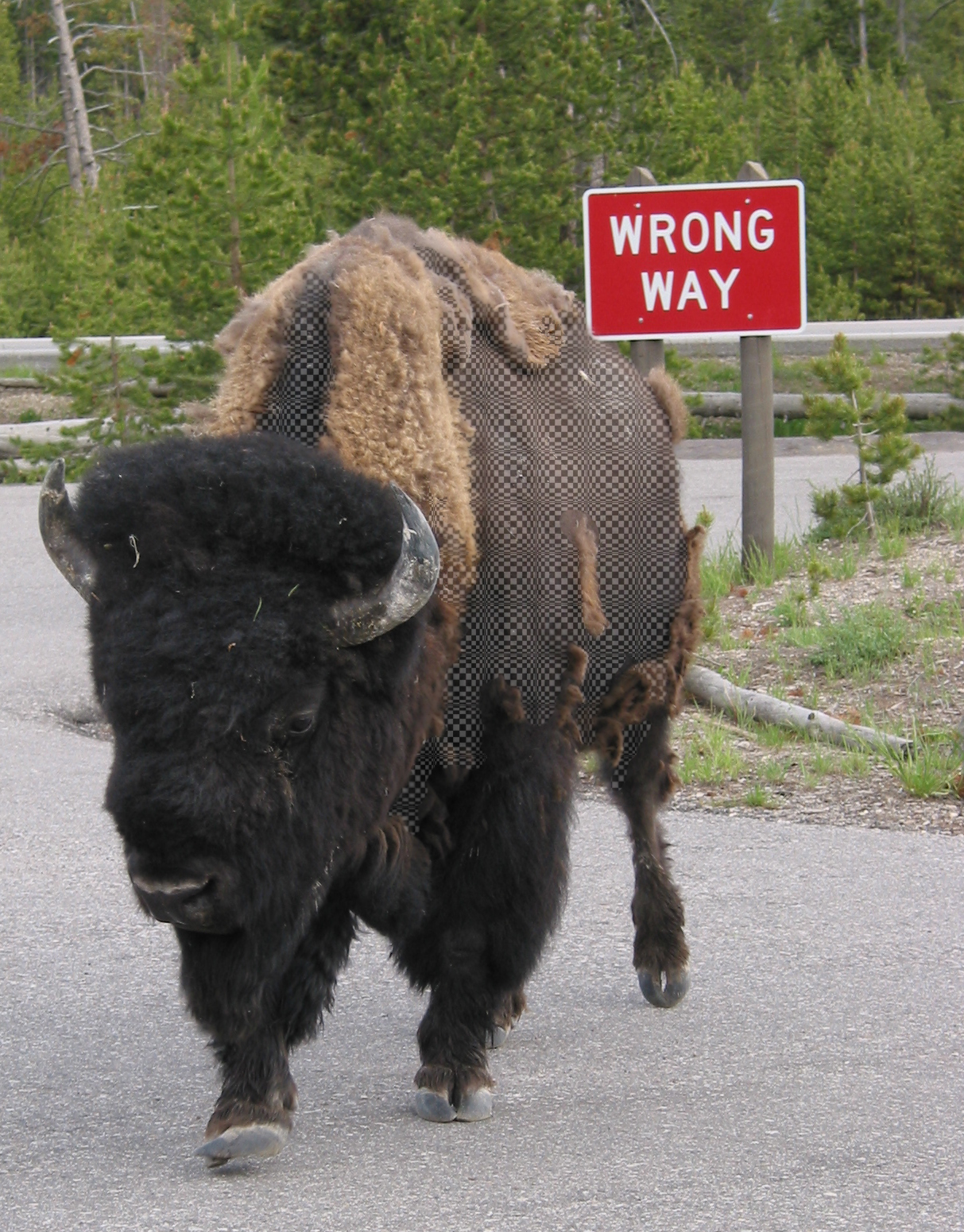 Photoshop Design by sns1953 for DesignCrowd (Community Contests) | Design #9143865