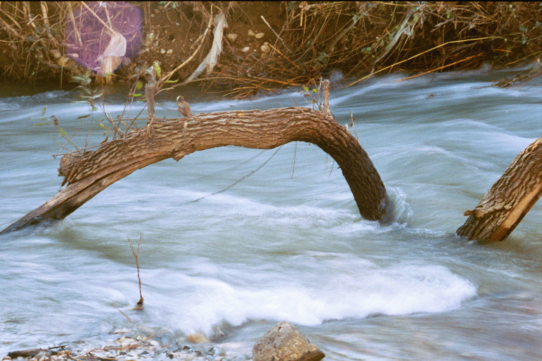 Photographie par susv pour DesignCrowd (Community Contests) | Design #9142733