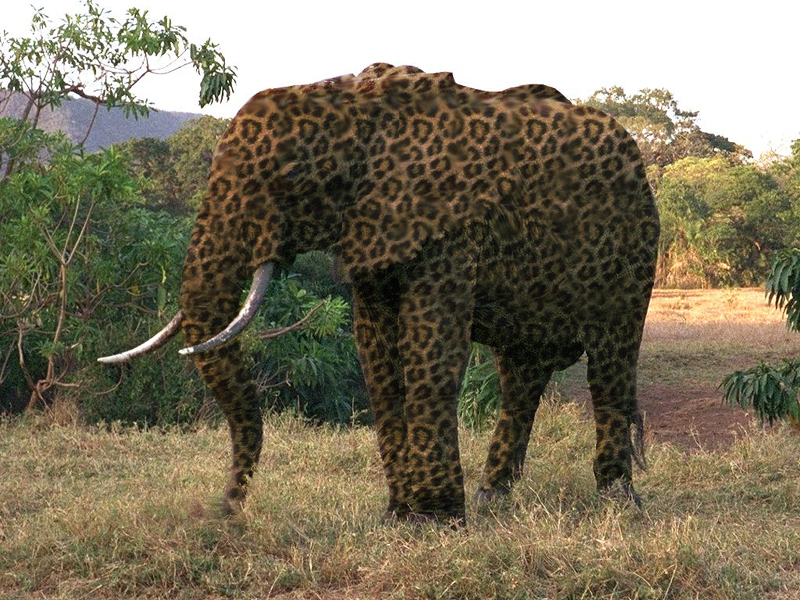 Photoshop Design by ScottE for DesignCrowd (Community Contests) | Design #9143860