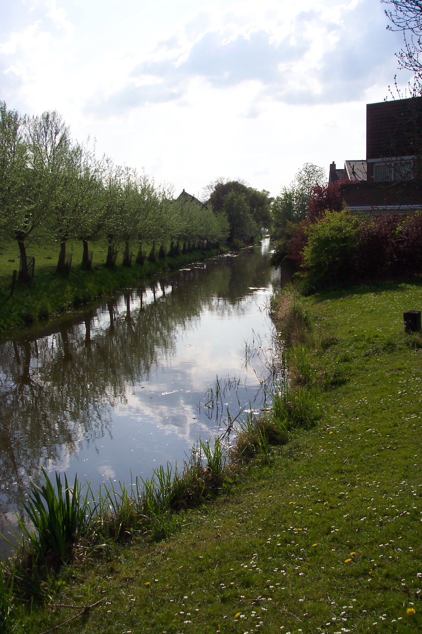 Photography by GeertKW for DesignCrowd (Community Contests) | Design #9142822