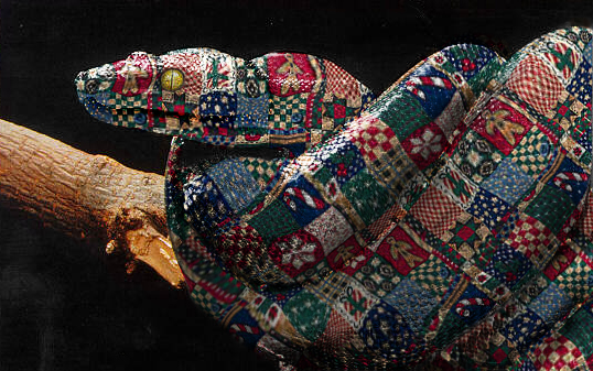 Design Photoshop par Trinity-of-One pour DesignCrowd (Community Contests) | Design #9143833