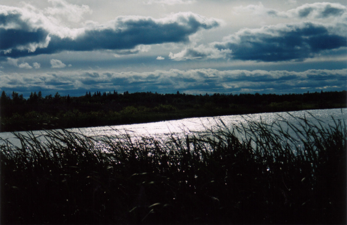 Photography by WillieTheCat for DesignCrowd (Community Contests) | Design #9142775