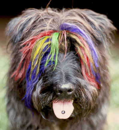 Photoshop Design by The_Juiceman for DesignCrowd (Community Contests) | Design #9143822