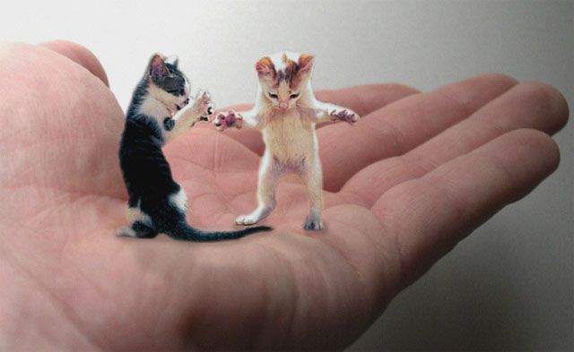 Photoshop Design by xTOTO62x for DesignCrowd (Community Contests) | Design #9139481