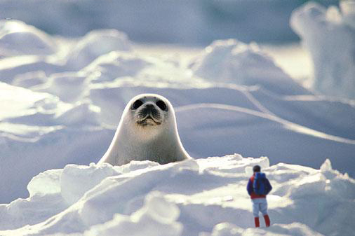 Photoshop Design by DustMan for DesignCrowd (Community Contests) | Design #9139504