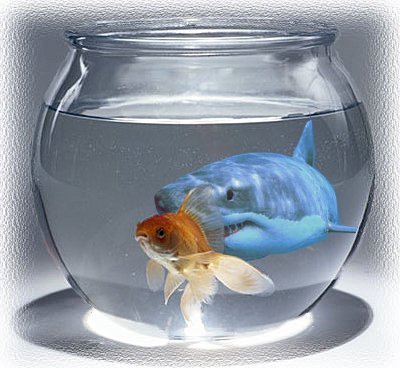 Photoshop Design by bubufr for DesignCrowd (Community Contests) | Design #9139495