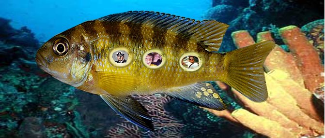 Photoshop Design by Razshady for DesignCrowd (Community Contests) | Design #9139498