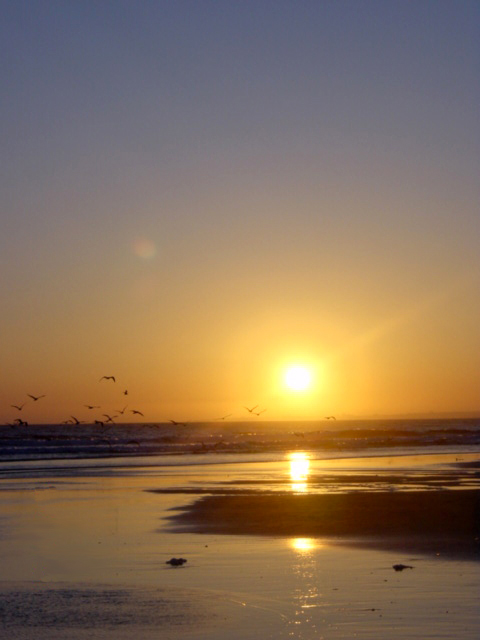 Fotografie von Adriana Draganescu für DesignCrowd (Community Contests) | Design #9142900