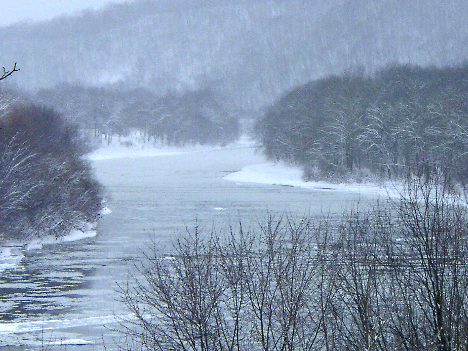 Photography by firebud1 for DesignCrowd (Community Contests) | Design #9142926