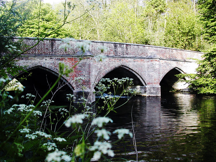 Photography by Redbull_UK for DesignCrowd (Community Contests) | Design #9142824