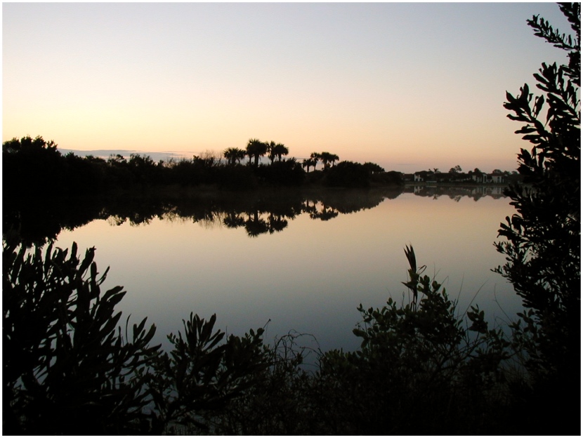 Photographie par Tommy1de pour DesignCrowd (Community Contests) | Design #9142861