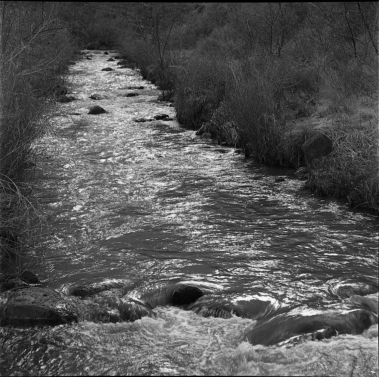 Photography by dedkennedy for DesignCrowd (Community Contests) | Design #9142912