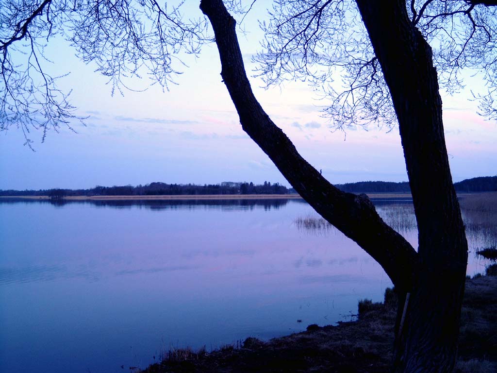 Photography by Incarlight for DesignCrowd (Community Contests) | Design #9142871