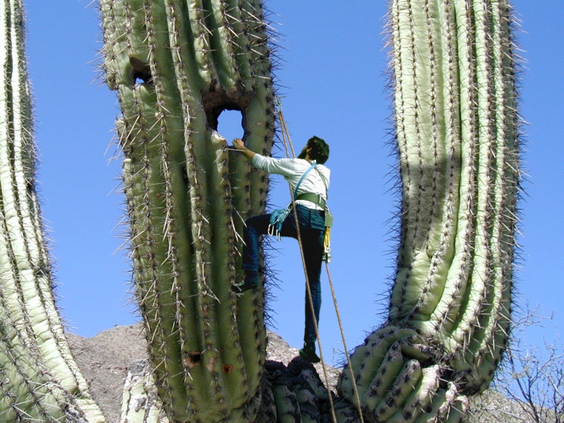 Photoshop Design by Tommy1de for DesignCrowd (Community Contests) | Design #9139549