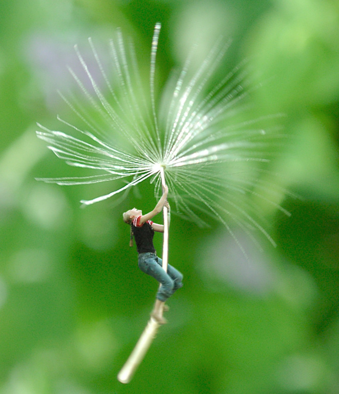 Diseño de Photoshop por Vortex para DesignCrowd (Community Contests) | Diseño #9139538