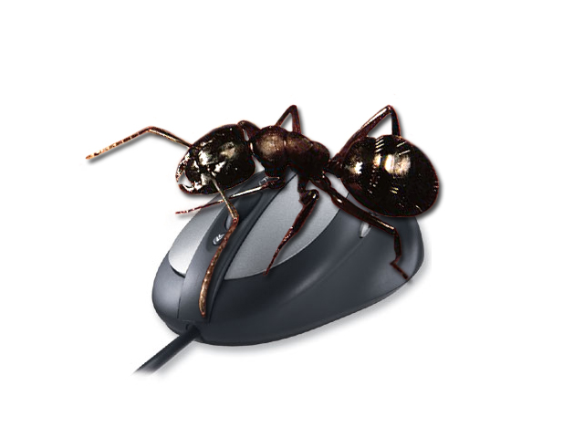 Photoshop Design by debellez for DesignCrowd (Community Contests) | Design #9139607