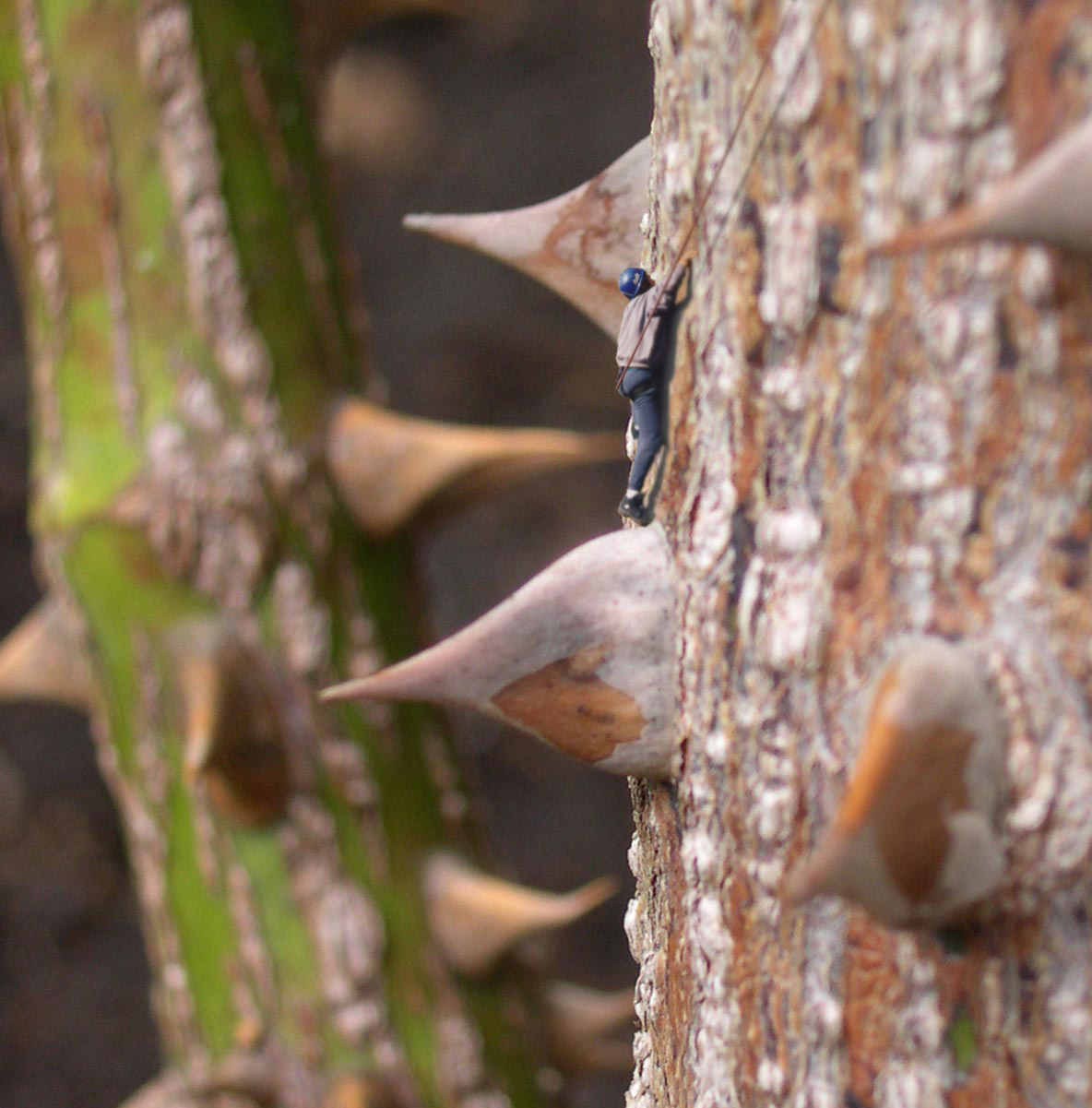 Photoshop-Design von Bb für DesignCrowd (Community Contests) | Design #9139560