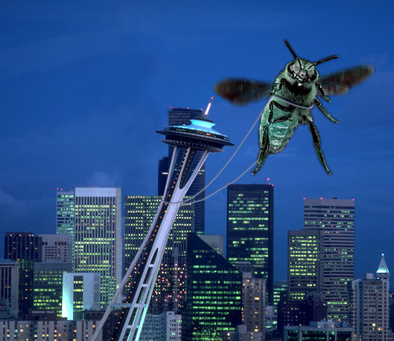 Design Photoshop par frankgf pour DesignCrowd (Community Contests) | Design #9121194