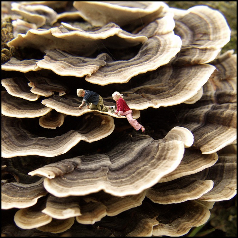 Photoshop Design by chibechados for DesignCrowd (Community Contests) | Design #9139708