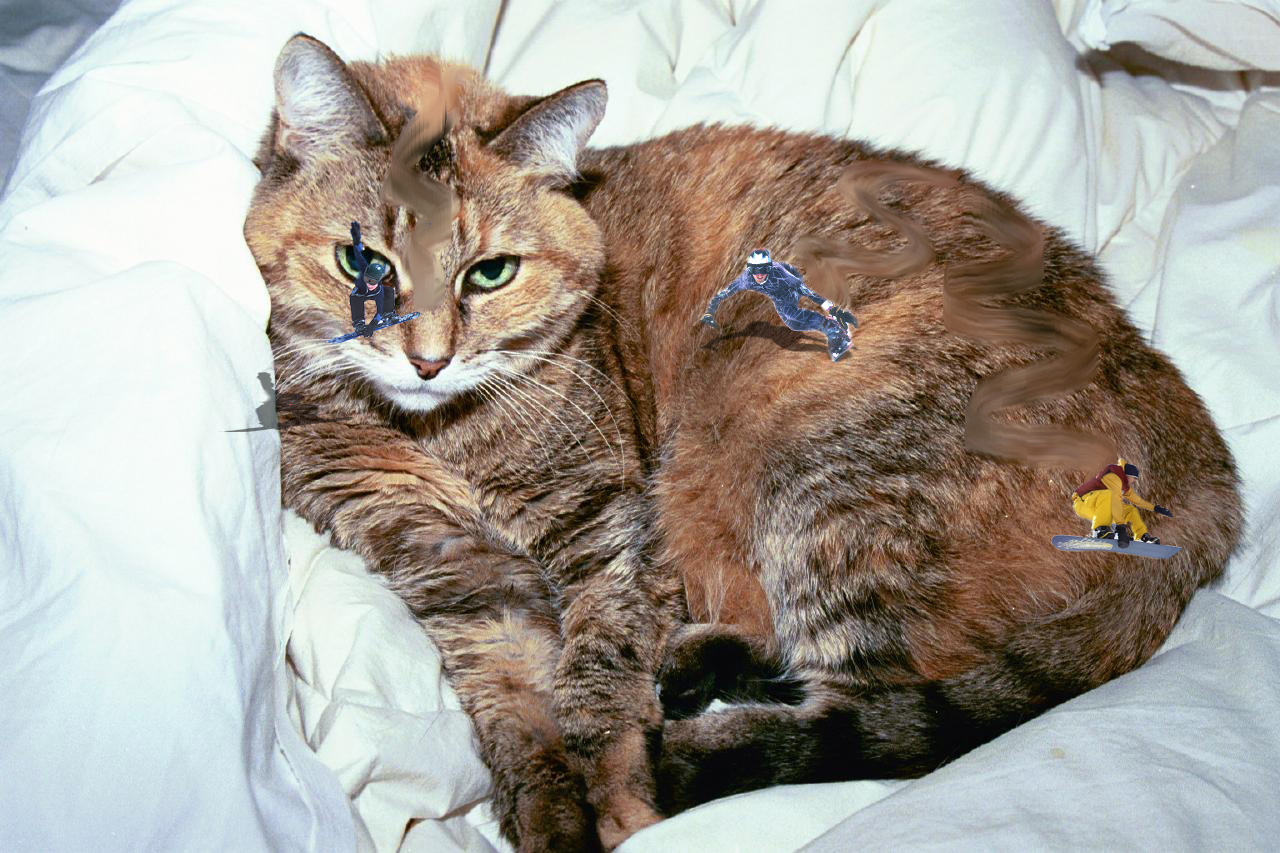 Photoshop Design by AlexL2003 for DesignCrowd (Community Contests) | Design #9139691