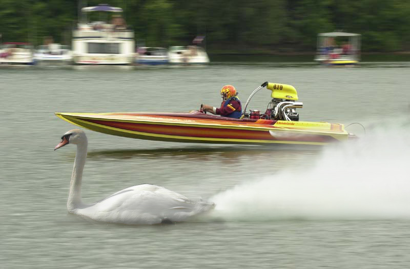 Diseño de Photoshop por Rubbermonster para DesignCrowd (Community Contests) | Diseño #9121273