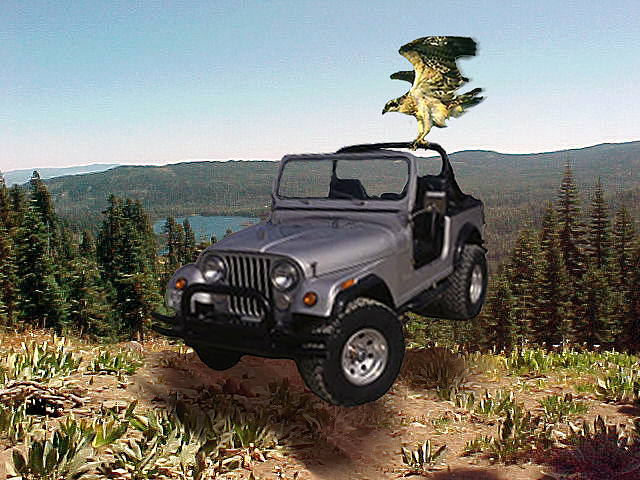 Photoshop Design by OneHappyFemale for DesignCrowd (Community Contests) | Design #9121321