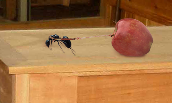 Photoshop-Design von tiddlycove für DesignCrowd (Community Contests) | Design #9121311