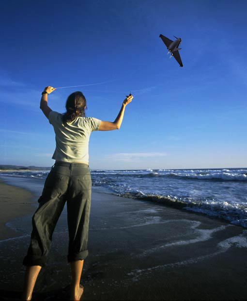 Photoshop Design by wisbin for DesignCrowd (Community Contests) | Design #9121337