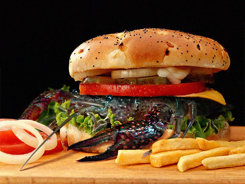 Photoshop Design by Joaco for DesignCrowd (Community Contests) | Design #9147718