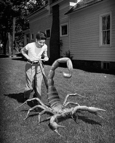 Photoshop-Design von cswatco für DesignCrowd (Community Contests) | Design #9147739