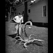 Photoshop Design by cswatco