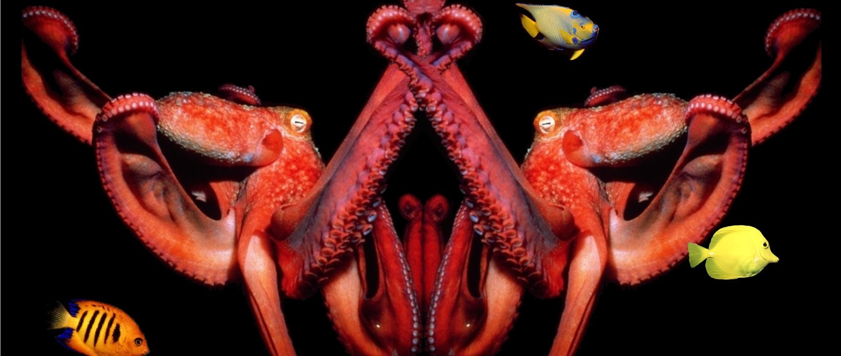 Photoshop-Design von Nana für DesignCrowd (Community Contests) | Design #9146055