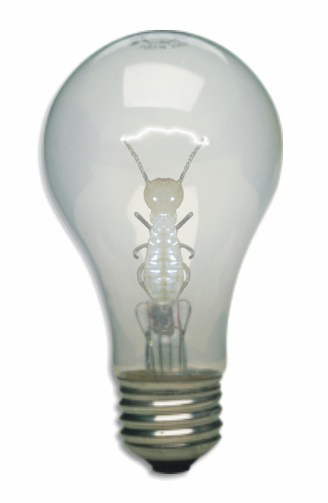 Photoshop Design by Ipkiss for DesignCrowd (Community Contests) | Design #9147801