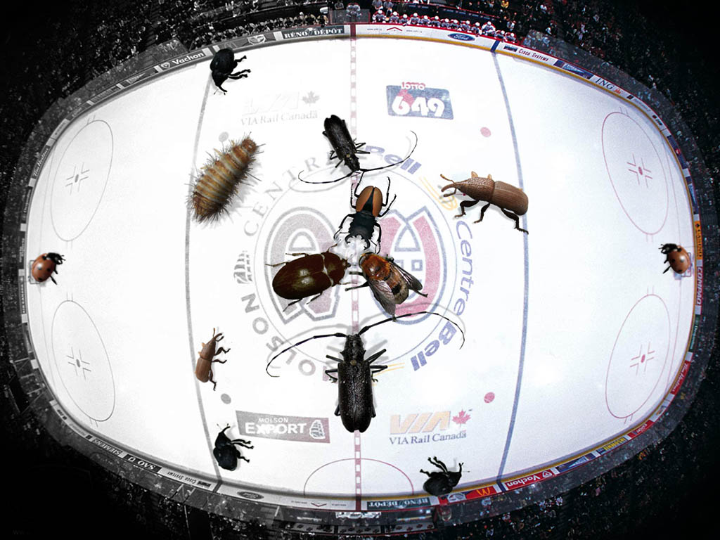 Diseño de Photoshop por MrArif para DesignCrowd (Community Contests) | Diseño #9147763