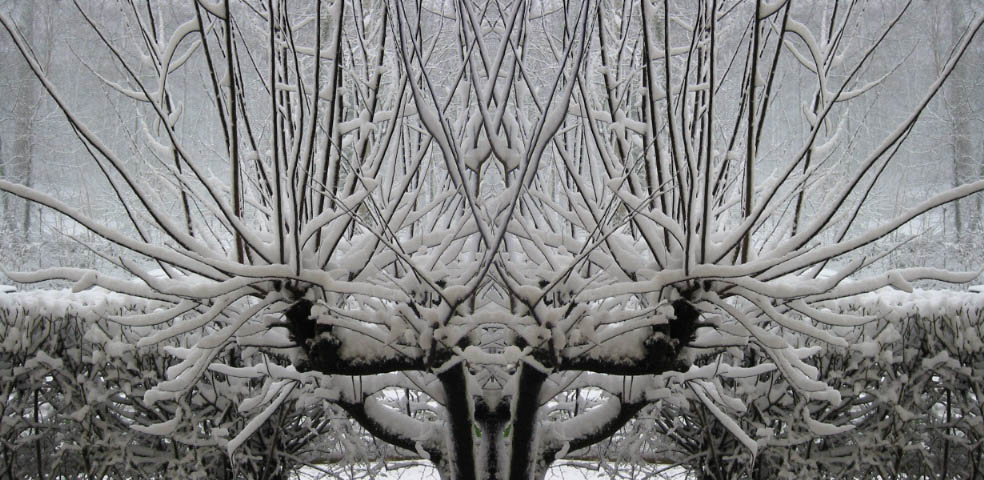 Photoshop Design by SK_Tyger for DesignCrowd (Community Contests) | Design #9146079