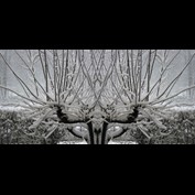 Photoshop Design by SK_Tyger