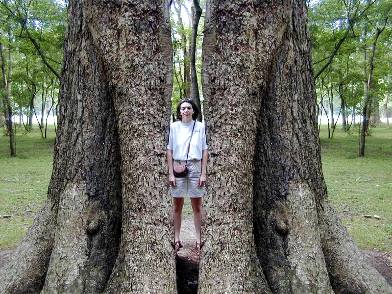 Photoshop Design by Partyshot for DesignCrowd (Community Contests) | Design #9146112