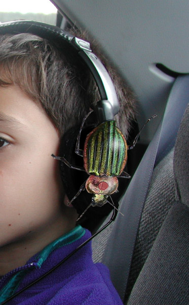 Photoshop Design by DeadElvis for DesignCrowd (Community Contests) | Design #9147863