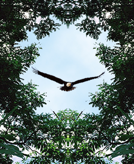 Diseño de Photoshop por OneHappyFemale para DesignCrowd (Community Contests) | Diseño #9146084