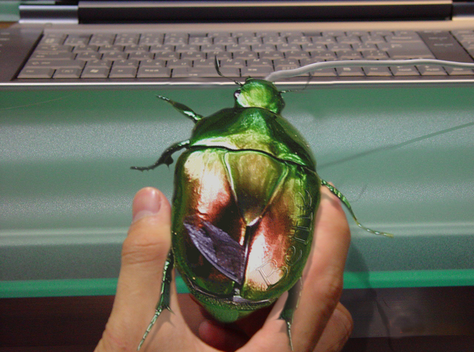 Photoshop Design by patoloco for DesignCrowd (Community Contests) | Design #9147896