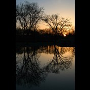 Photography by Quadrajet
