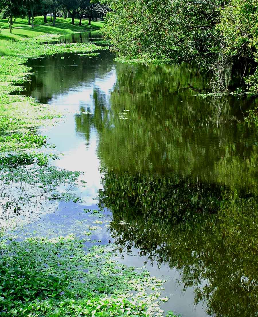 Photography by TampaDroid for DesignCrowd (Community Contests) | Design #9142958