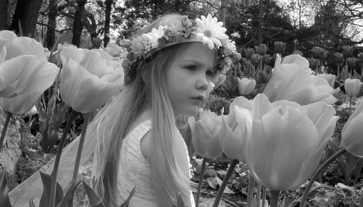 Photography by Mab1066 for DesignCrowd (Community Contests) | Design #9148199