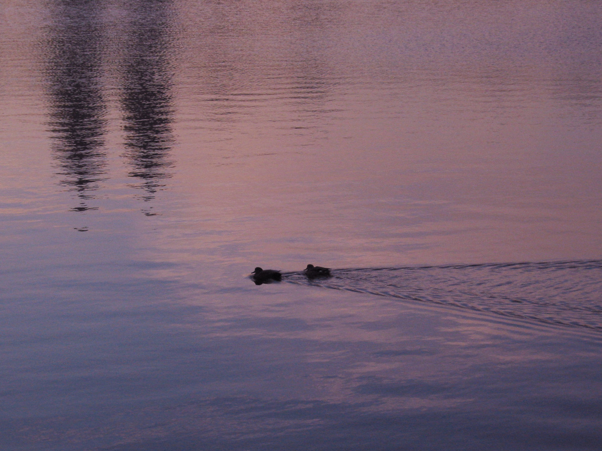 Photography by PeterSealy for DesignCrowd (Community Contests) | Design #9142973