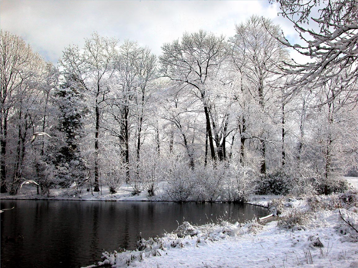 Photography by branie for DesignCrowd (Community Contests) | Design #9143013