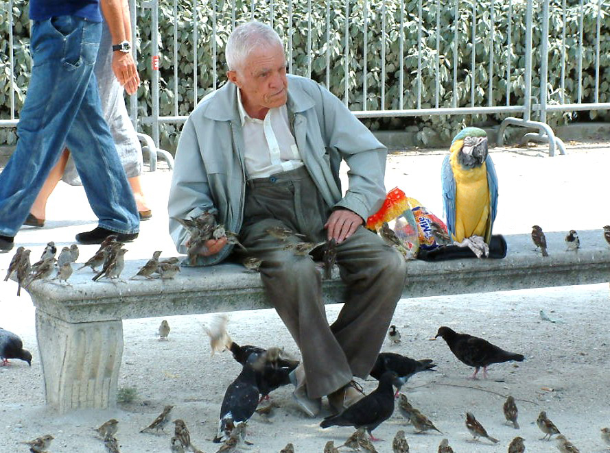 Diseño de Photoshop por _TraCerr_ para DesignCrowd (Community Contests) | Diseño #9145005