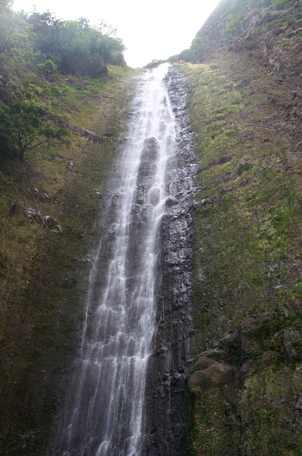 Photography by scotty2hotty for DesignCrowd (Community Contests) | Design #9148147