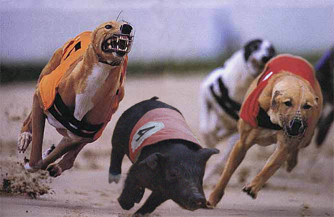 Photoshop-Design von silvagod für DesignCrowd (Community Contests) | Design #9144987