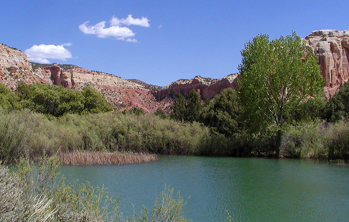 Photography by compugoddess for DesignCrowd (Community Contests) | Design #9142981