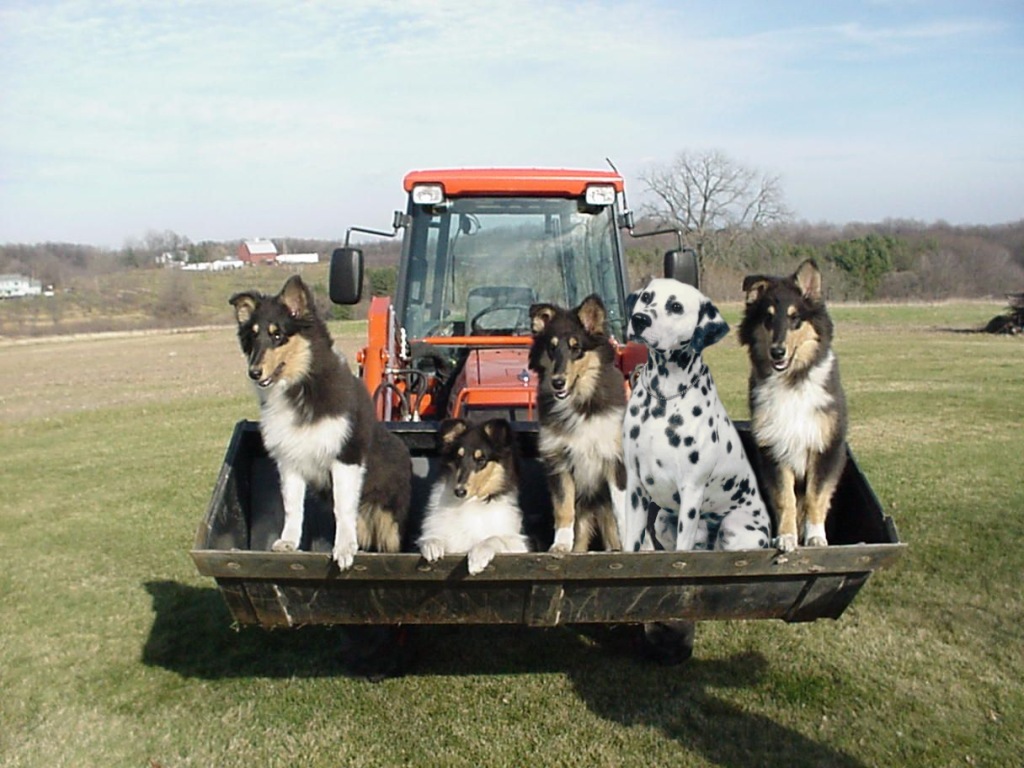 photoshop-submission-for-odd-man-out-contest-design-9144879